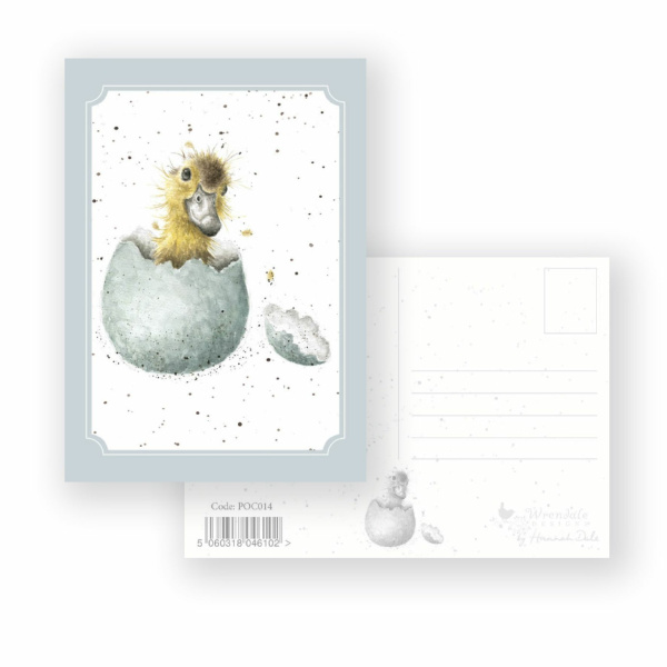 Wrendale Postcard "Little One"