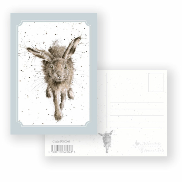 Wrendale Postcard "Little Grey Hare"