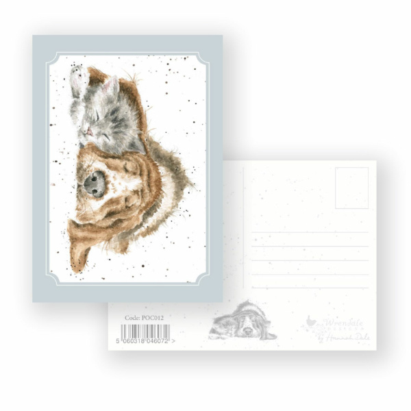 Wrendale Postcard "Dog-and-catnap"