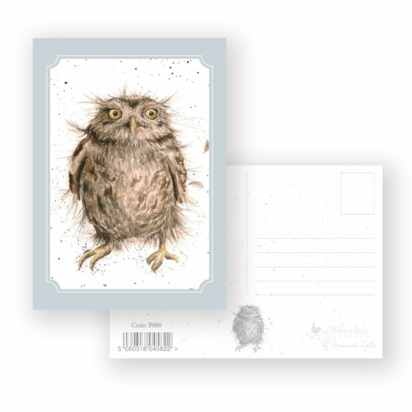 Wrendale Postcard "What A Hoot"