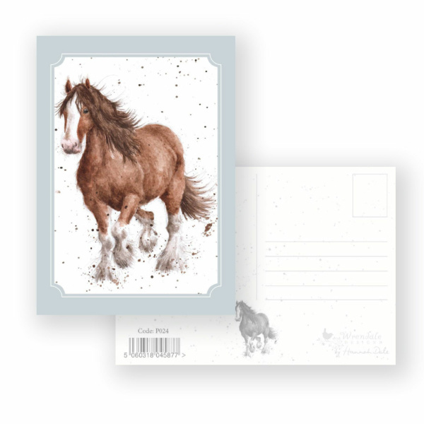 Wrendale Postcard "Feathers"