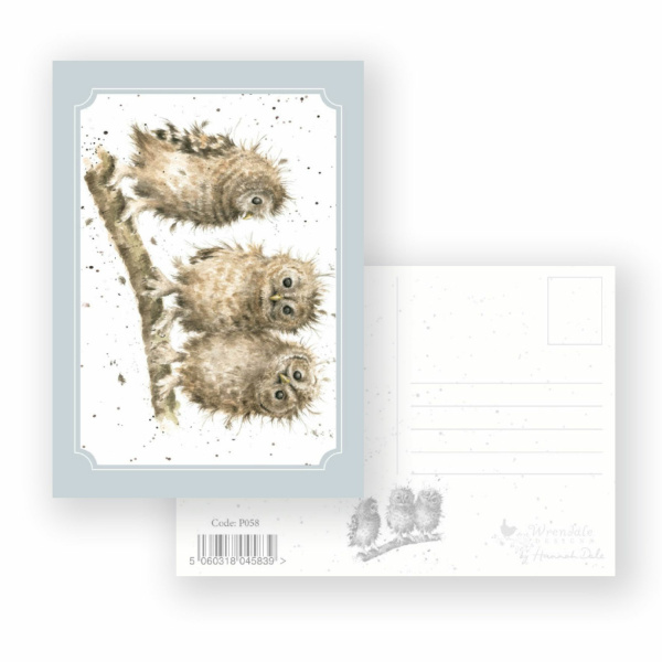 Wrendale Postcard "You First"