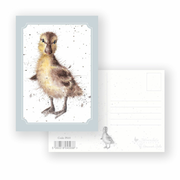 Wrendale Postcard "Just Hatched"