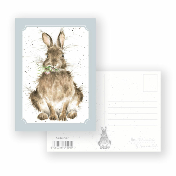 Wrendale Postcard "Daisy"