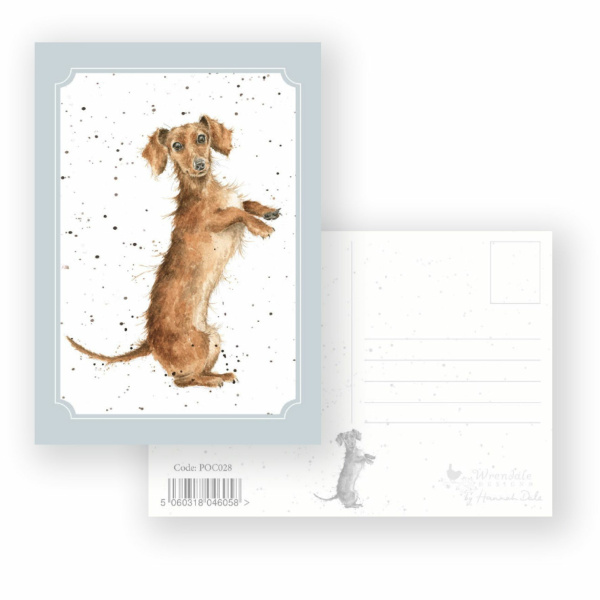 Wrendale Postcard "Sausage"