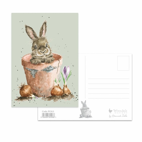 Wrendale Postcard Bunny "The Flower Pot"
