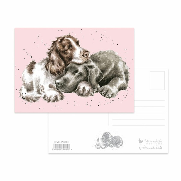 Wrendale Postcard Dog "Growing Old Together"