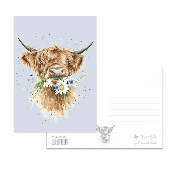 Wrendale Postcard Cow "Daisy Coo"