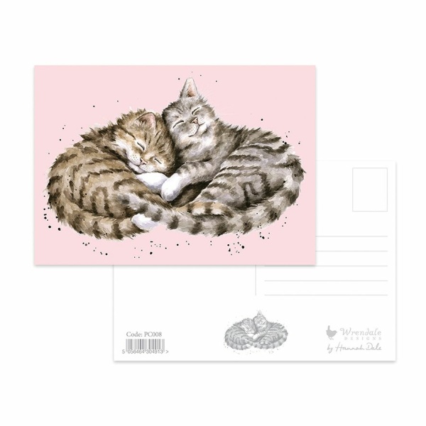 Wrendale Postcard Cats "Sweet Dreams"