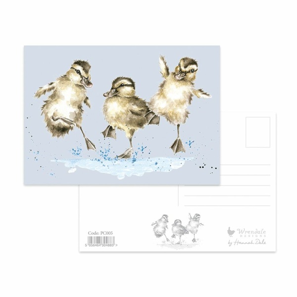 Wrendale Postcard Eendjes  "Puddle Ducks"