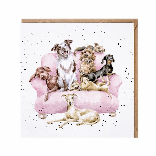 Wrendale Wenskaart "Movie Night Dogs"