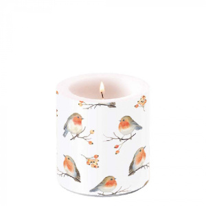 Ambiente Kaars Small – Robin Family