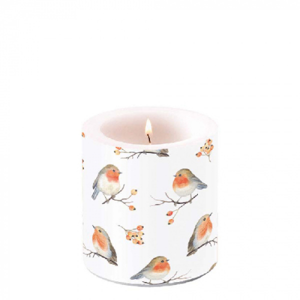 Ambiente kaars small - Robin Family
