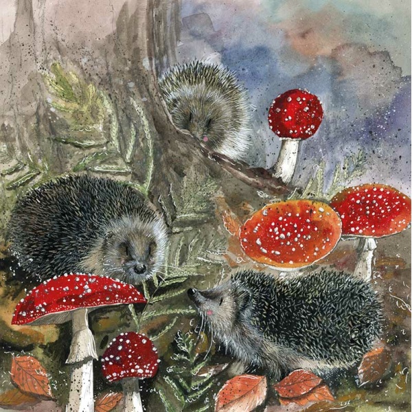 Alex Clark 14x14cm Wenskaart - Hedgehogs