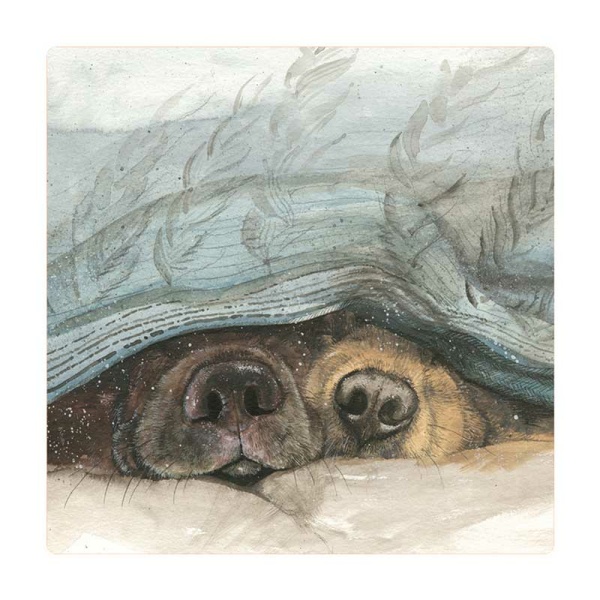 Alex Clark Magneet - Snouts