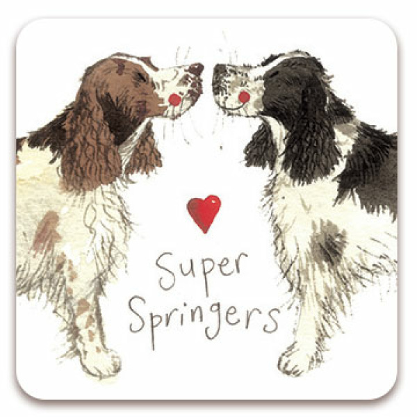 Alex Clark Magneet - Super Springers