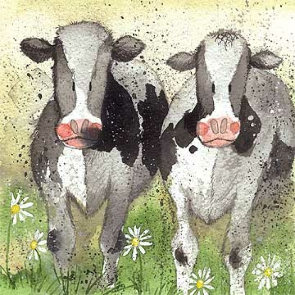 Alex Clark 14x14cm Wenskaart - Curious Cows