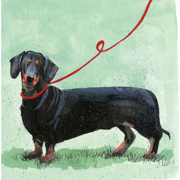 Alex Clark 14x14cm Wenskaart - Dachshund