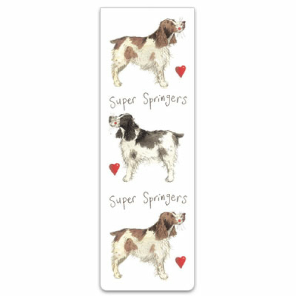 Alex Clark Magnetische Boekenlegger "Super Springers"
