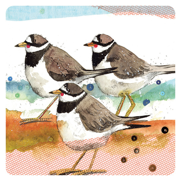 Alex Clark Onderzetter - Ringed Plovers
