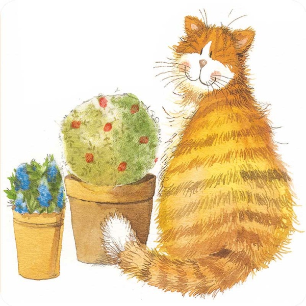 Alex Clark Onderzetter - Cat's Whiskers