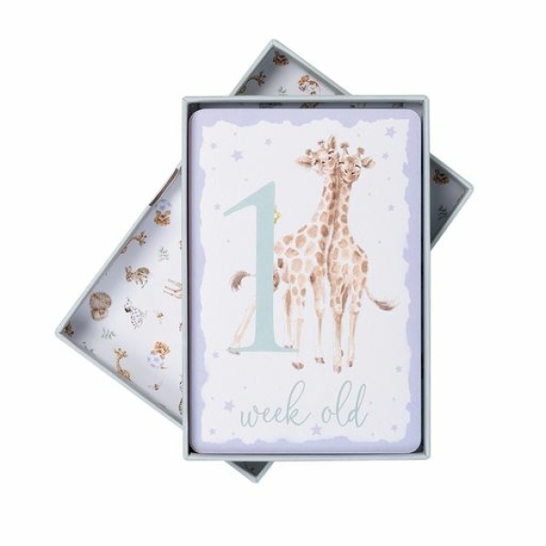 Wrendale Mijlpaalkaarten "Milestone Cards" - Afbeelding 6