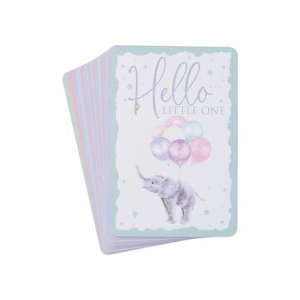 Wrendale Mijlpaalkaarten "Milestone Cards" - Afbeelding 7