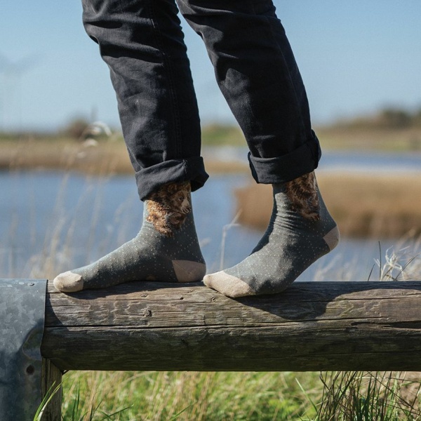 Wrendale Herensokken Beer "In My Footsteps" - Afbeelding 3