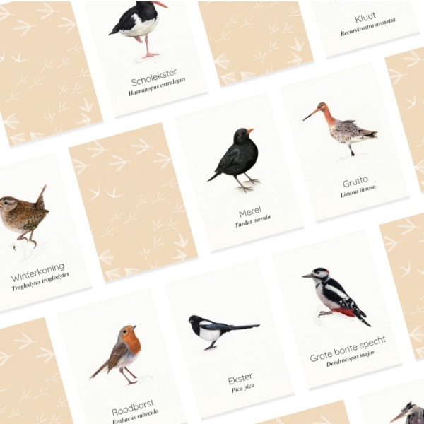 Lonneke Grimbergen Pocket Memory "Vogels" - Afbeelding 2