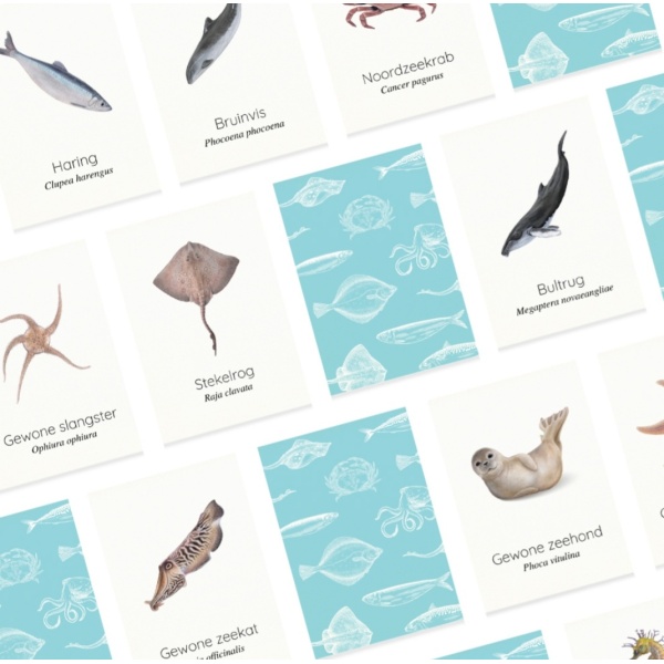 Lonneke Grimbergen Pocket Memory "Zeedieren" - Afbeelding 2