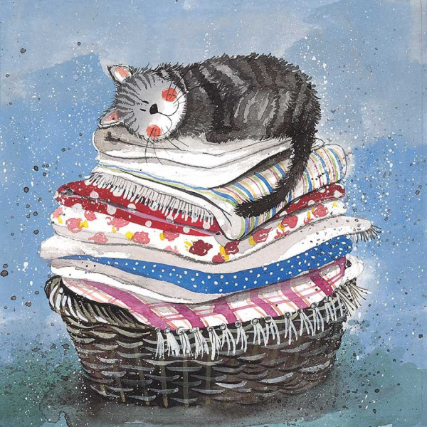Alex Clark 14x14cm Wenskaart - Laundry Basket