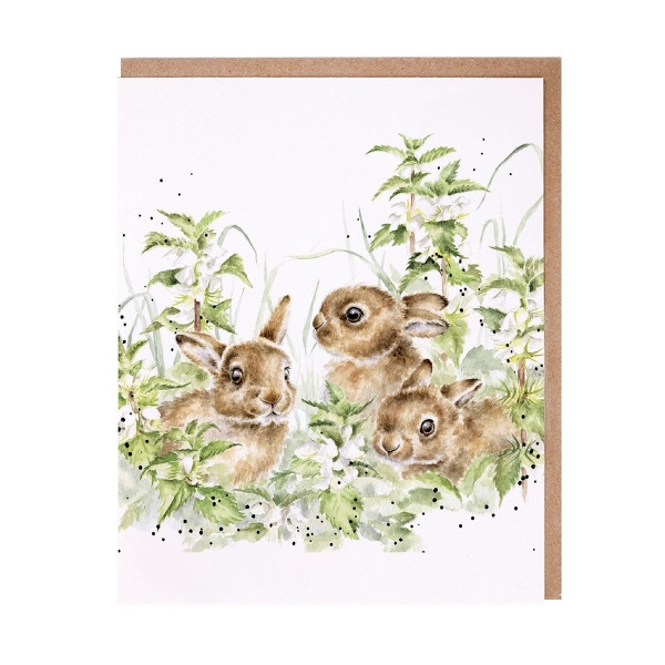 Wrendale Wenskaart  - Spring Hares
