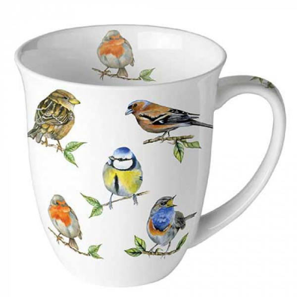 Ambiente mok 400ml - Bird Species