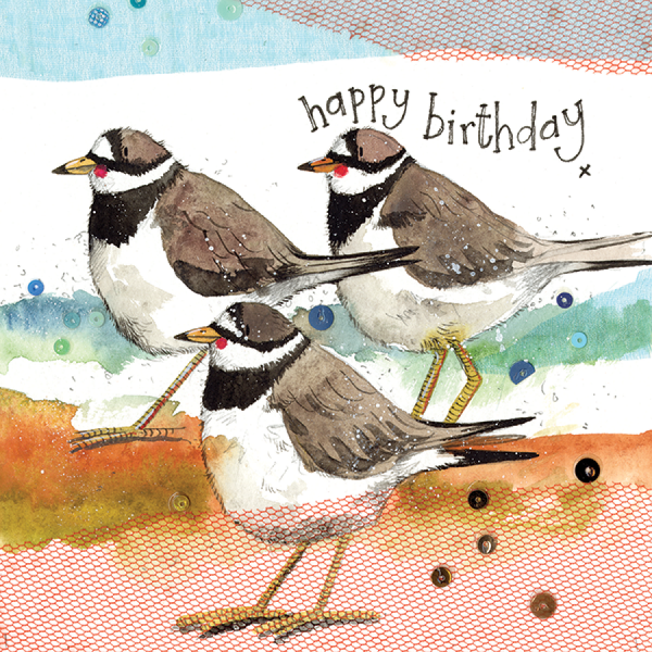 Alex Clark 16x16cm Wenskaart - Ringed Plovers