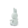 Nijntje Knuffel Terry 23cm - Soft Green - Afbeelding 3