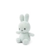 Nijntje Knuffel Terry 23cm - Soft Green - Afbeelding 2