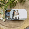 Alex Clark Mini Blikje - Guinea Pig - Afbeelding 2