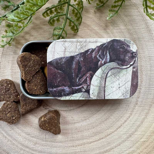 Alex Clark Mini Blikje - Buddy - Afbeelding 2