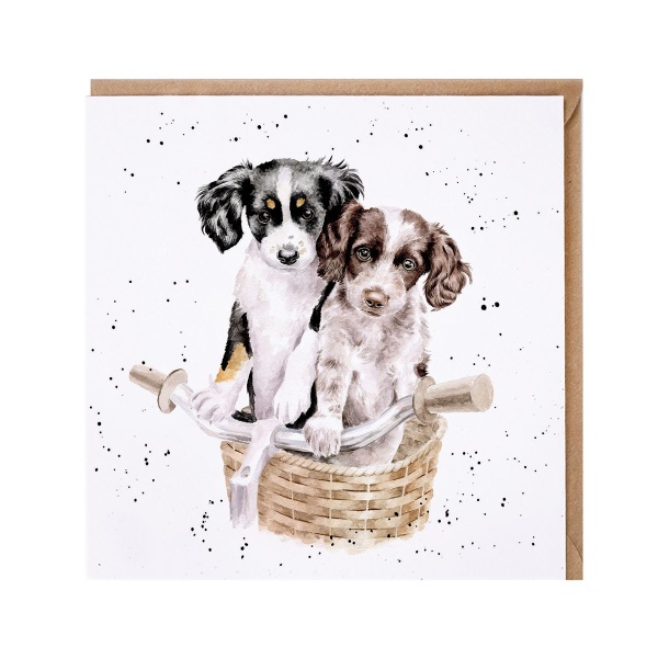 Wrendale Wenskaart  - Paws and Pedals